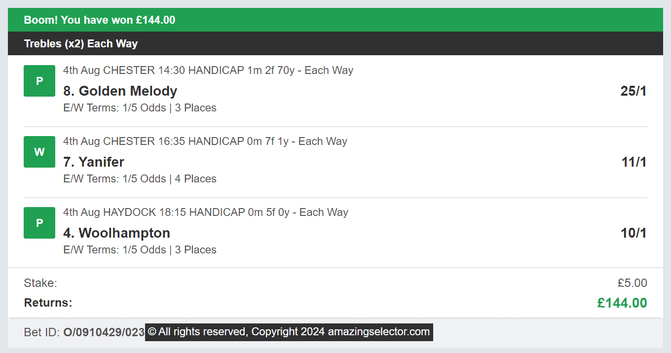 Amazing Selector - Winner Multi - 2024-08-04