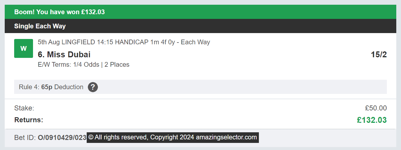 Amazing Selector - Winner 1 - 2024-08-05