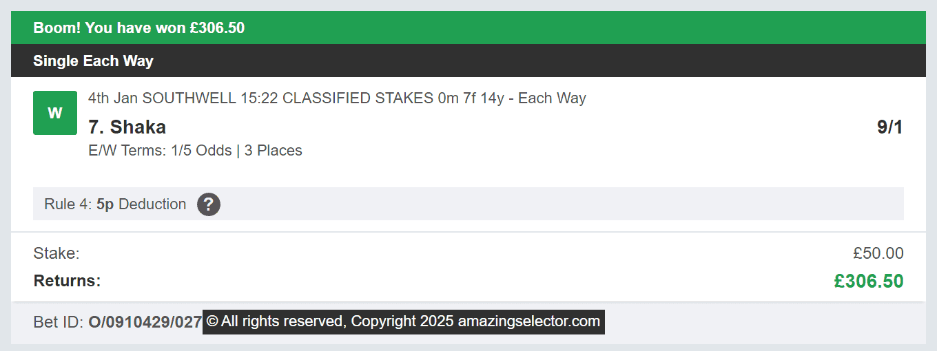 Amazing Selector - Winner 1 - 2025-01-04