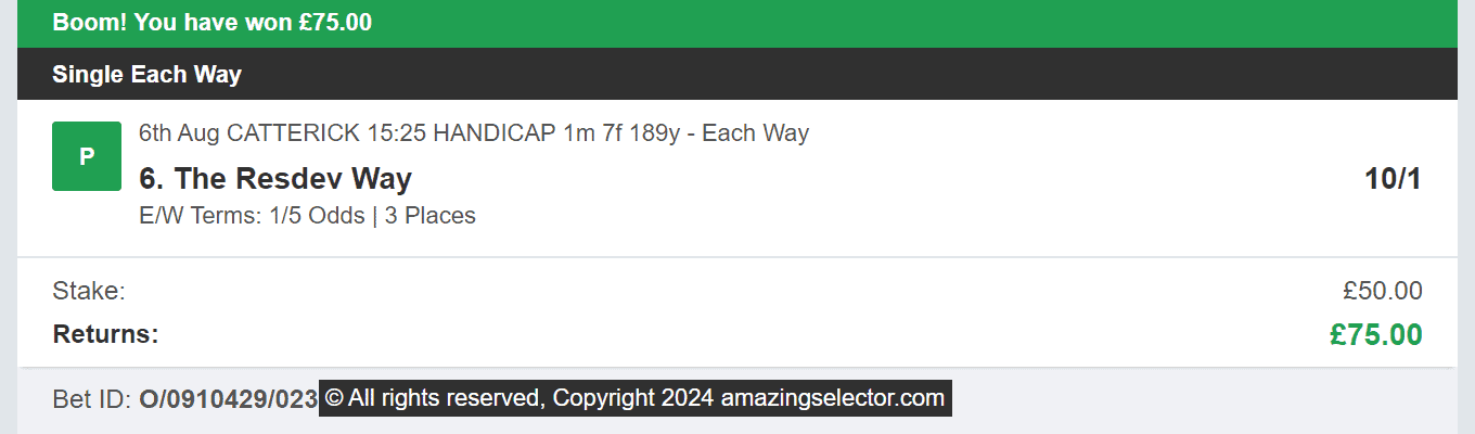 Amazing Selector - Winner 2 - 2024-08-06