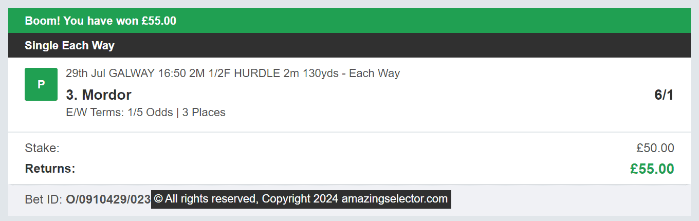 Amazing Selector - Winner 3 - 2024-07-29