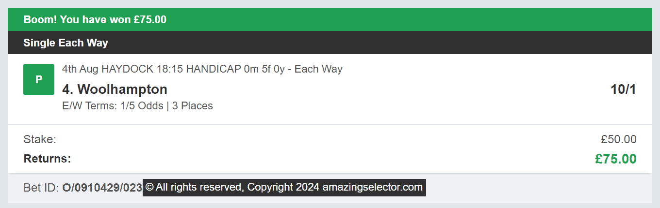 Amazing Selector - Winner 3 - 2024-08-04